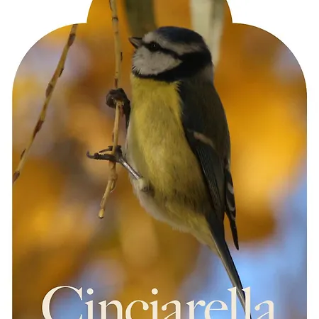 Casa Buri ורונה